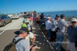 SpaceX FH Test Launch crowd_020618_0018